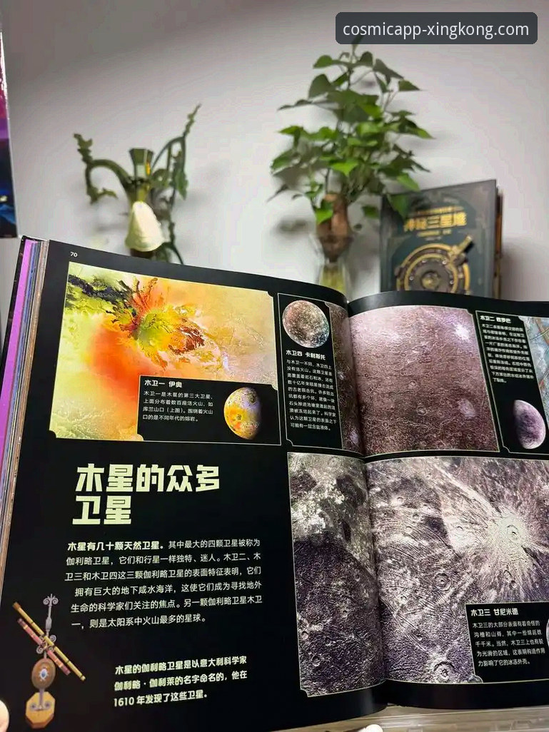 星空官网数据加密 掌握星空官网数据加密的关键:新手必读的实用安全指南