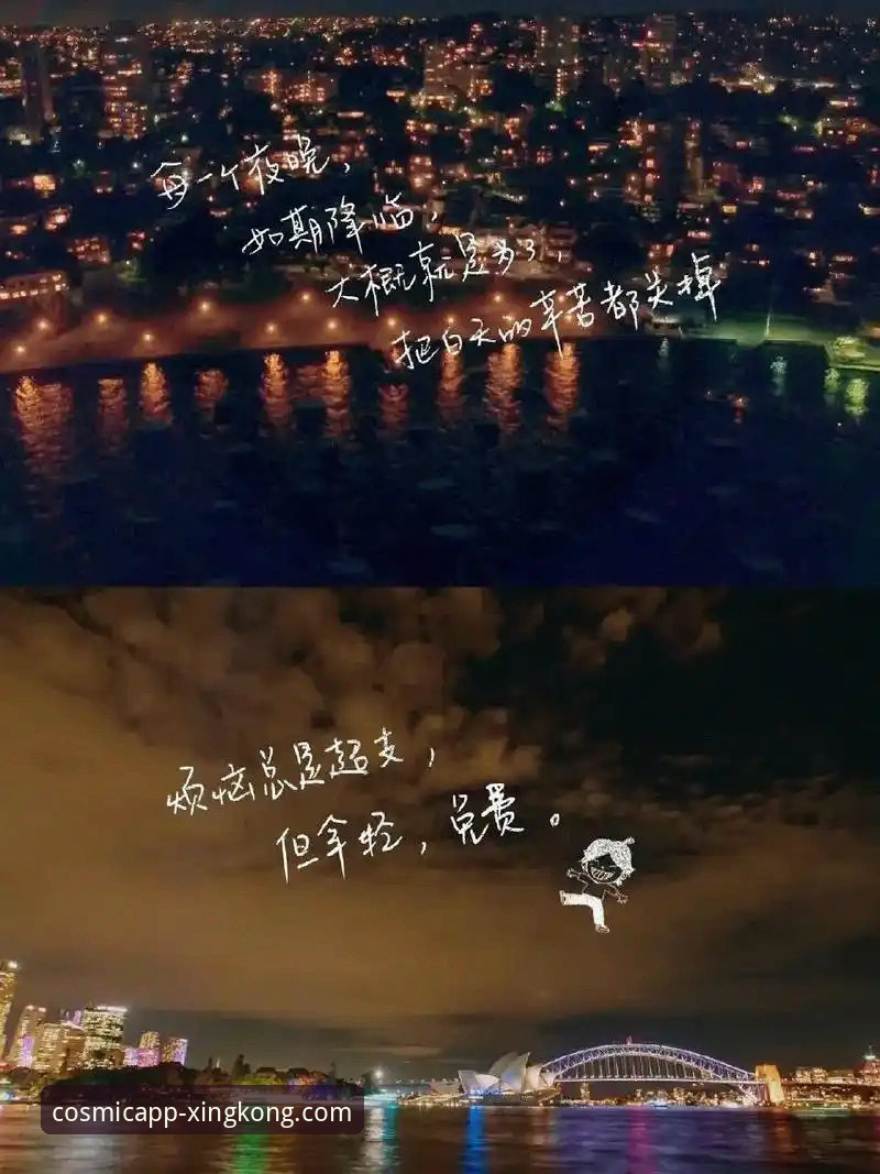 星空官网网址 揭秘星空娱乐平台网址背后的真相:官方正版入口的深度解析